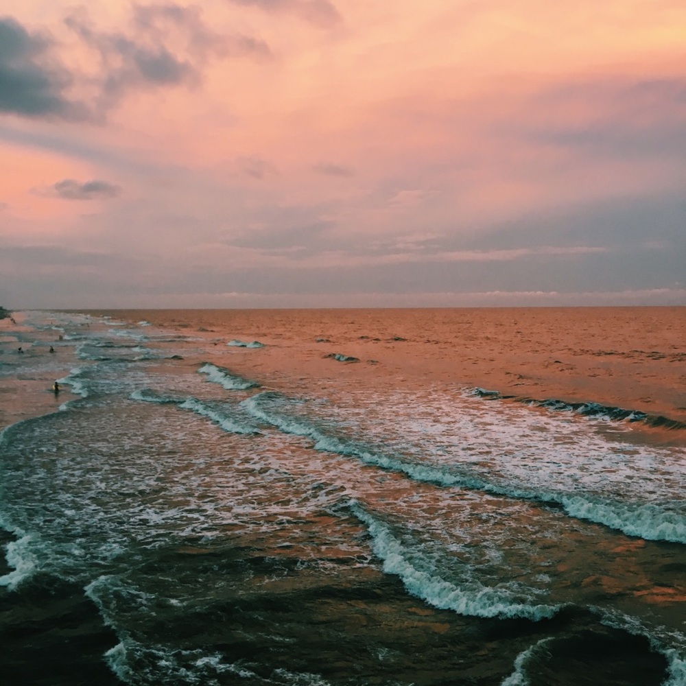 Meet your Posher, Eliza